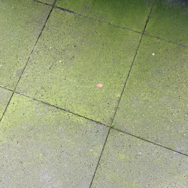 Betontegels