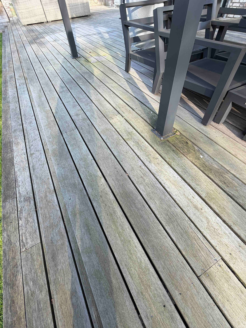 Algen op hout